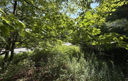 Ny 22, Hillsdale, NY 12529