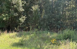 1907 E Cornwallis Road, Durham, NC 27713