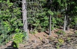 100 Vets Rd, Pinehurst, ID 83850