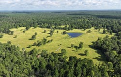 TBD Walker Ln, Huntsville, TX 77320