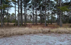 Belland Ct., Loris, SC 29569