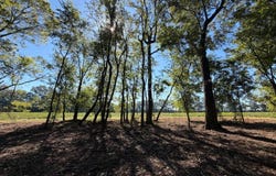 1 Taylor Circle, Atmore, AL 36502