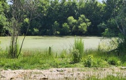306 Howards Landing Road, Hampstead, NC 28443