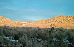 Tbd US Highway 40, Dinosaur, CO 81610