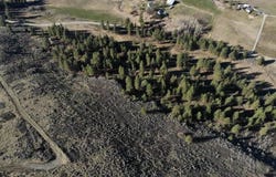 19XX GODDARD RD, RICE, WA 99167