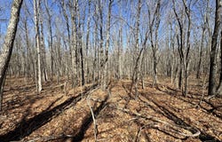 Veterans Lookout, Wilder, TN 38589