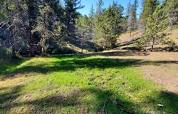 WILEY CREEK ROAD Road, Dayville, OR 97825