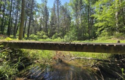 899 Bills Road, Mio, MI 48647