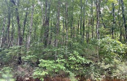 Lot 9 Ridge Trail, Gurley, AL 35748