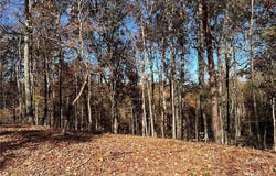 108 Adair, Ranger, GA 30734
