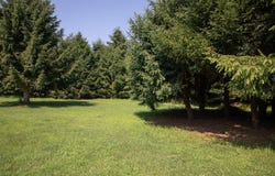 13643 NYS Route 9N, Jay, NY 12941