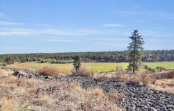 S Scribner Rd, Cheney, WA 99004