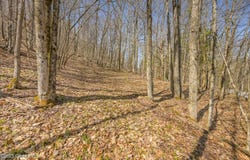 L9.113 Lutheranville Road, Summit, NY 12175
