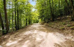 16043 Wagner Road, Empire, MI 49630