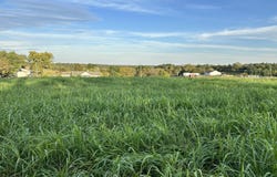Tract #1 Mt Eden Road, Waddy, KY 40076