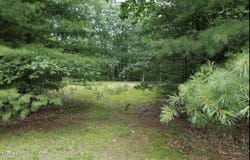 2.84 Acres Butchs Road, Hawley, PA 18428