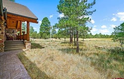 1465 Marmot Drive, Ridgway, CO 81432
