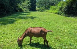 Tr B Fairview Rd, Sylva, NC 28779