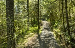 15051 NW CRANE LN, Yamhill, OR 97148