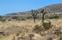 0 Avenue X / 136th St E, Pearblossom, CA 93553
