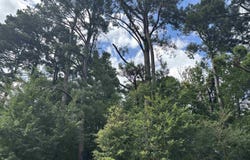 3324 S 167 Highway, Sheridan, AR 72150