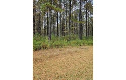 4858 Carsley Road, Waverly, VA 23890