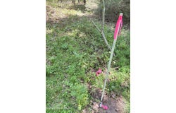 Lot 22 Buckhorn Church Road, Como, NC 27818