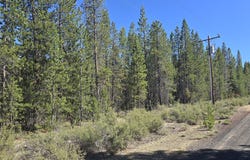 5 mowich St, CrescentLake, OR 97733