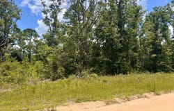 LOT16 NW SOUTHERN OAK TERRACE, Jennings, FL 32053