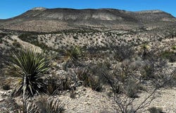10 Trachyte, Terlingua, TX 79852
