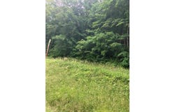 0 Home Branch, Prestonsburg, KY 41653