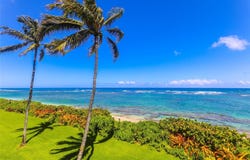 68-159 Au Street, Waialua, HI 96791