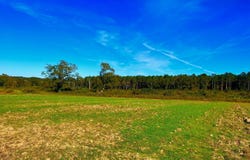 Darbun China Grove Road, Sandy Hook, MS 39478