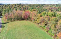 63530 Wintergreen Road, Lore City, OH 43755