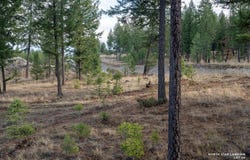 Origin Lane lot: 26, Eureka, MT 59917