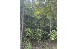 Stewart Road, Henderson, TN 38340