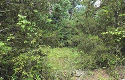 0 Pleasant Ridge Road, Poughkeepsie, AR 72569