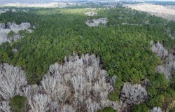 6 Cut Off Road, Carthage, MS 39051