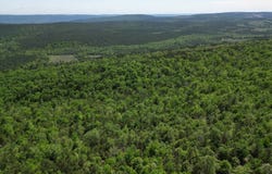 TR 1&17 K-TRAIL, Albion, OK 74571