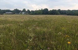 Bison Road, Crocker, MO 65452
