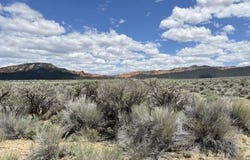 4369 S Scenic Dr, Panguitch, UT 84759