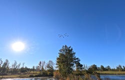William Warren Road, Collins, MS 39428
