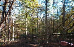 0 Dusty Road, Bowman, GA 30624