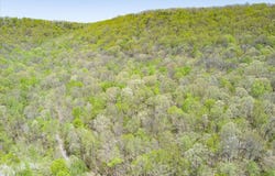 0 Pawnee Ln, Jamestown, TN 38556