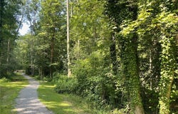606 S James Street, Ashland, VA 23005