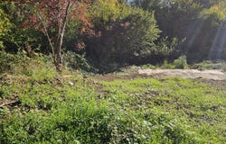 591 E 6TH St, Coquille, OR 97423