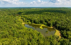 110 Acres Talbotton, Butler, GA 31006