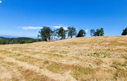 34088 Mt Tom Dr, Harrisburg, OR 97446
