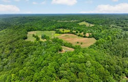 127.57 AC Homer Watson Road, Burkesville, KY 42717