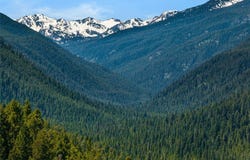 29 Old Hell Roaring Trail, Gallatin Gateway, MT 59730